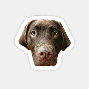 Labrador Chocolate Lab Puppy Dog Sticker